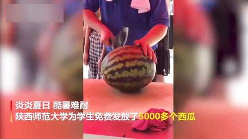 国际吃瓜中心其他视频,热门视频背后的趣味故事