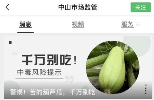 吃没煮熟的瓜会中毒吗视频,未煮熟瓜果中毒风险揭秘