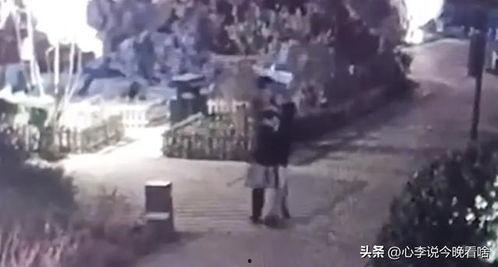 曹县吃瓜视频完整版,揭秘背后真相与网友热议