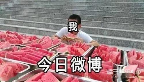 全朝文武围观吃瓜视频,共赏吃瓜视频盛况