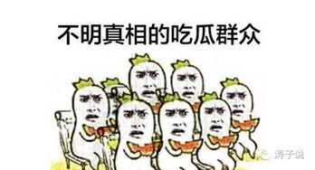 王者对骂吃瓜群众视频,一场激烈对骂背后的吃瓜群众众生相