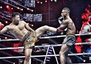 拳击吃瓜视频大全,带你领略热血沸腾的拳击世界