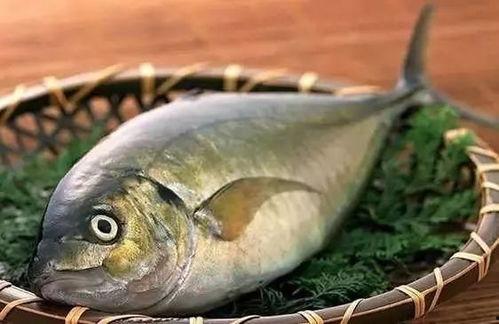 吃小八瓜鱼视频大全,视频大全带你领略美味瞬间