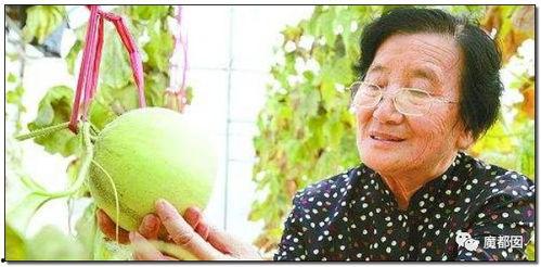 难以置信的吃瓜视频下载,难以置信的吃瓜视频下载背后的秘密