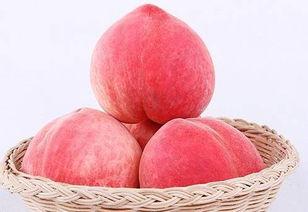 杨孟庄吃桃子瓜视频,趣味视频引网友热议