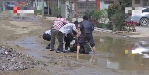 邢台工人村吃瓜事件视频,一场引发热议的社区冲突