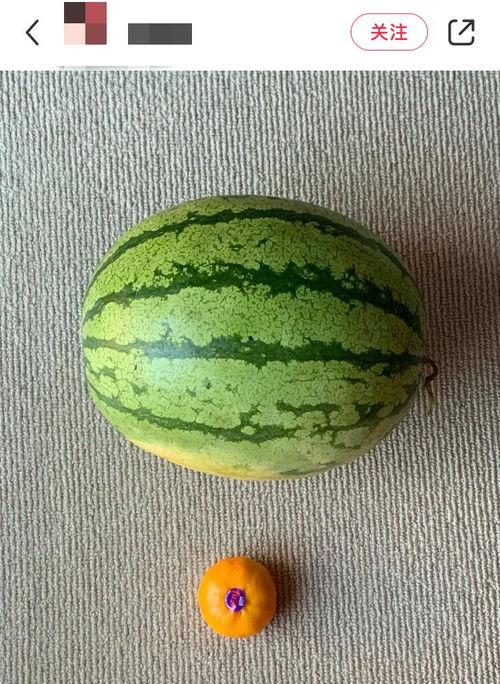 外国人吃瓜的视频